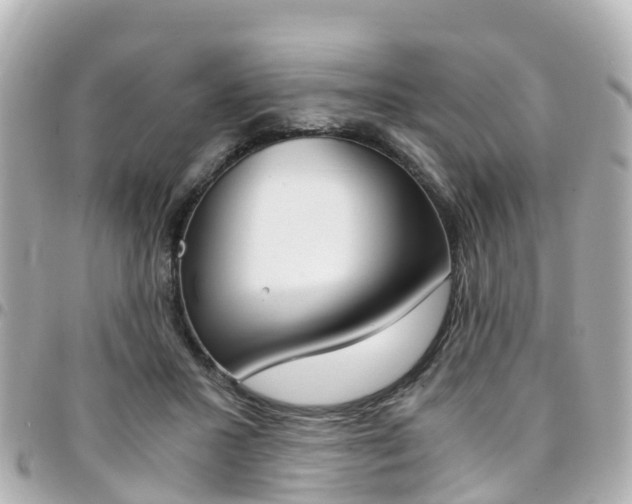 X0000094450407200711081052