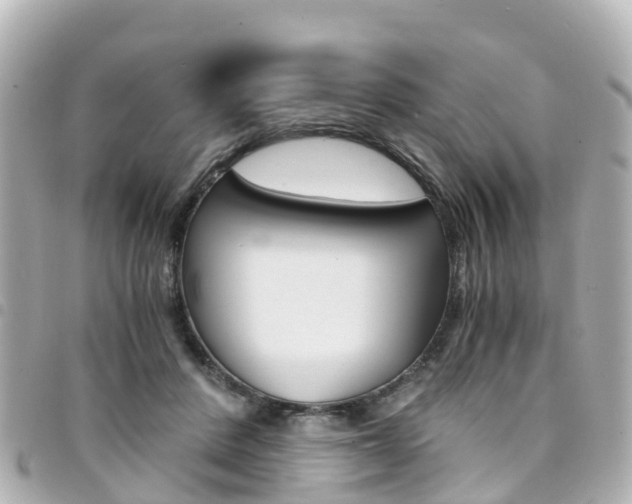 X0000094450408200711081052