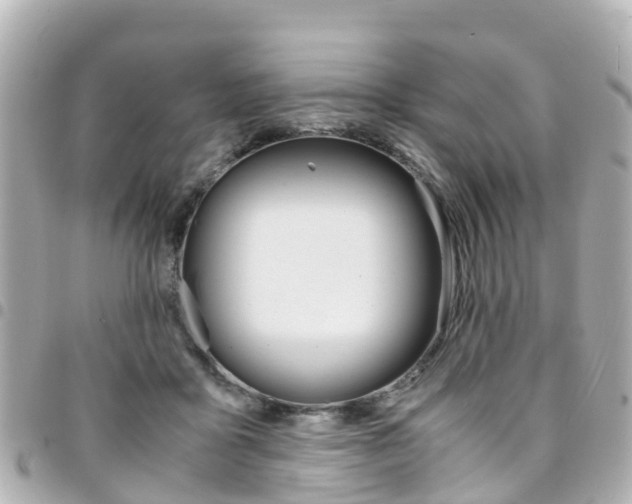 X0000094450411200711081052