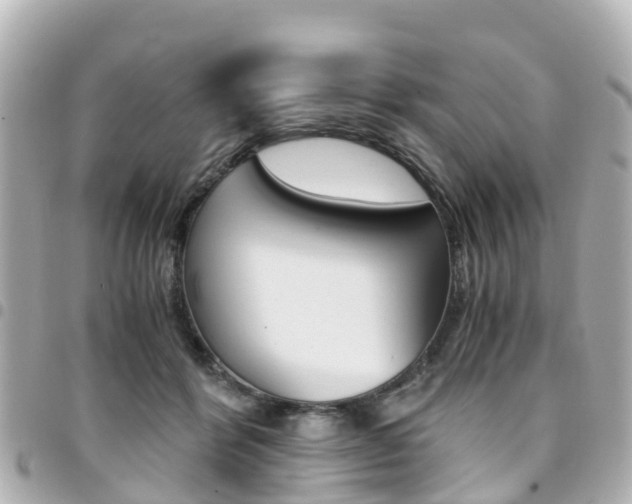 X0000094450412200711081052