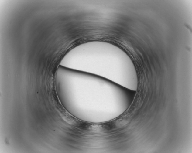 X0000094450413200711081052