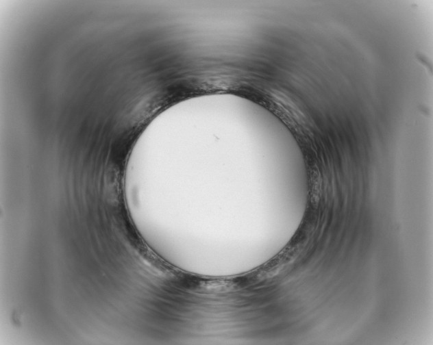 X0000094450414200711081052