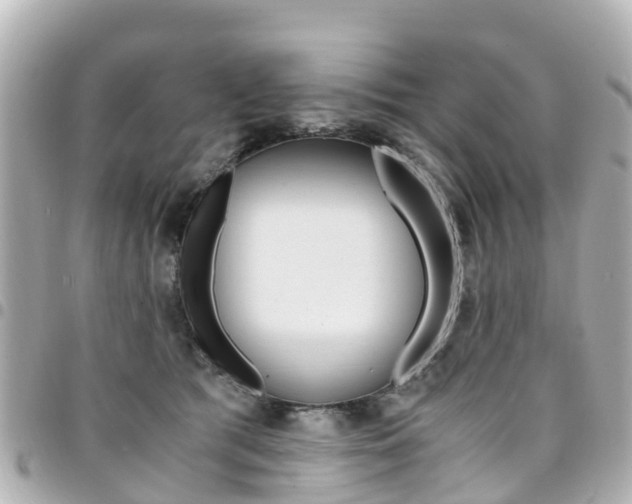 X0000094450417200711081052