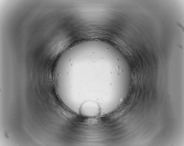 X0000094450418200711081052