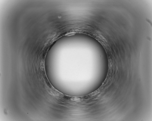 X0000094450419200711081052