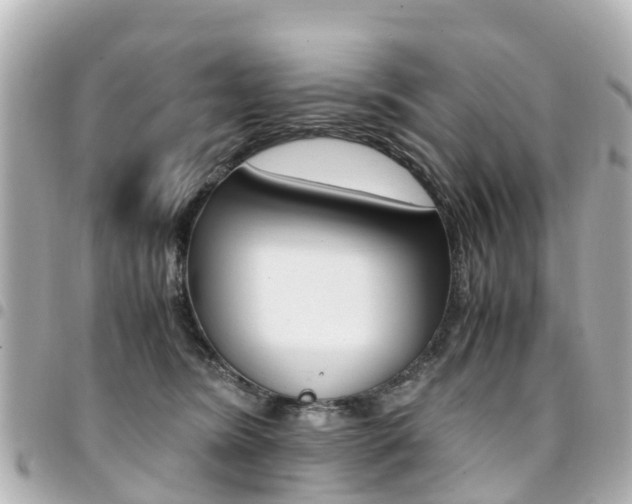 X0000094450420200711081052
