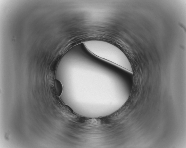 X0000094450421200711081052
