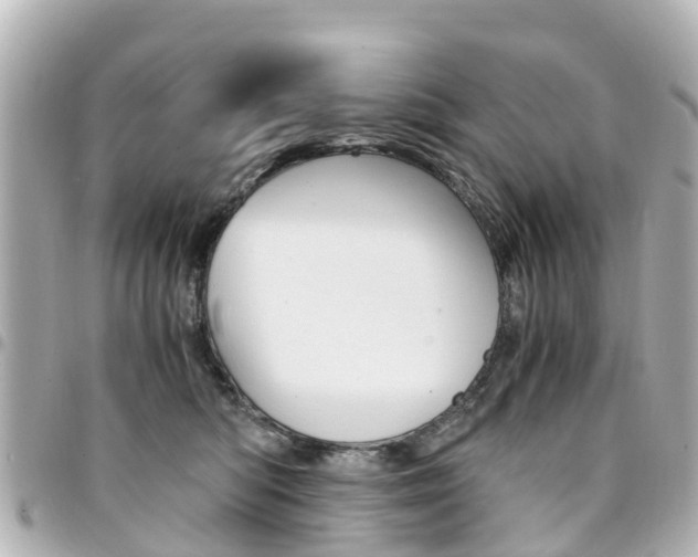 X0000094450422200711081052