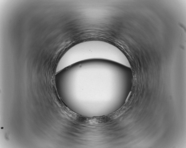 X0000094450423200711081052