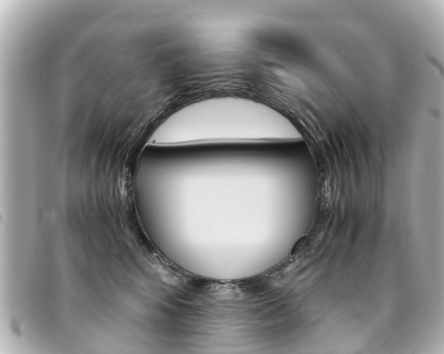 X0000094450424200711081052