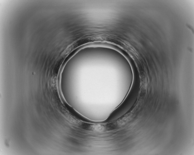 X0000094450425200711081052