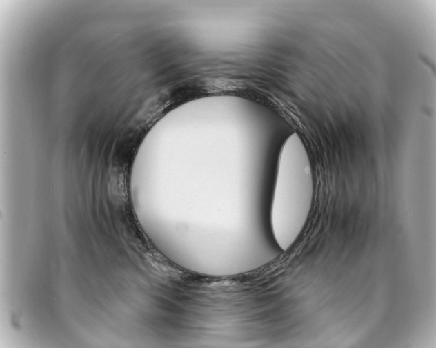 X0000094450426200711081052