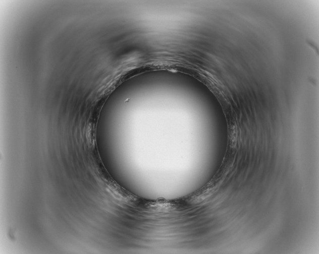 X0000094450428200711081051