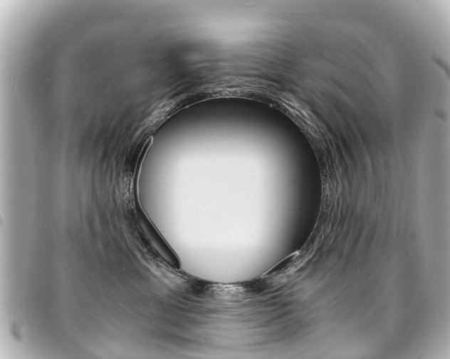 X0000094450429200711081051