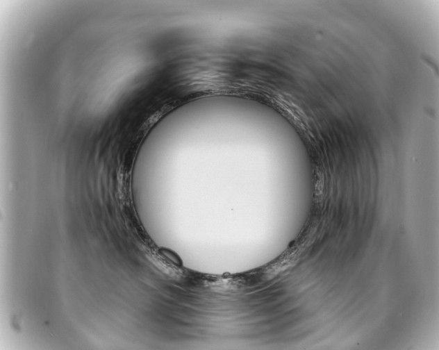 X0000094450430200711081051