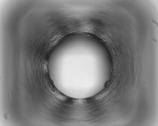 X0000094450432200711081051
