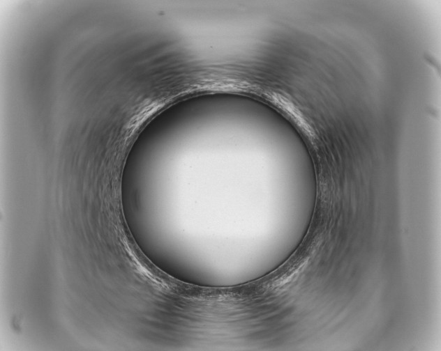 X0000094450433200711081051
