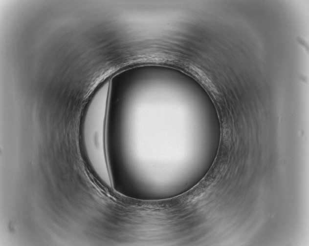 X0000094450434200711081051