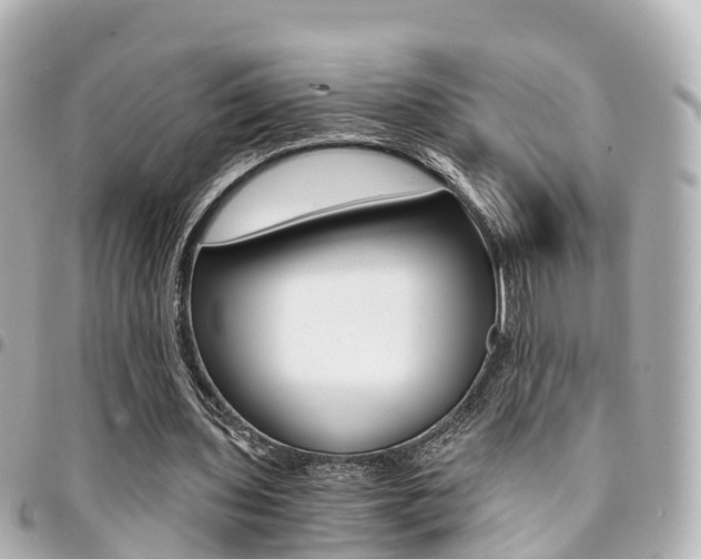 X0000094450435200711081051