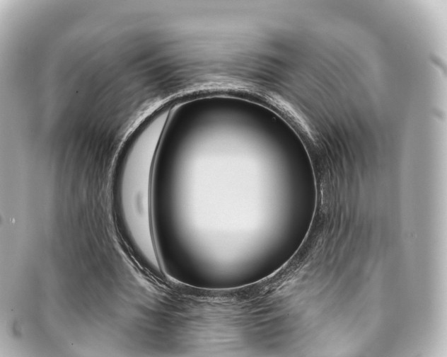 X0000094450436200711081051