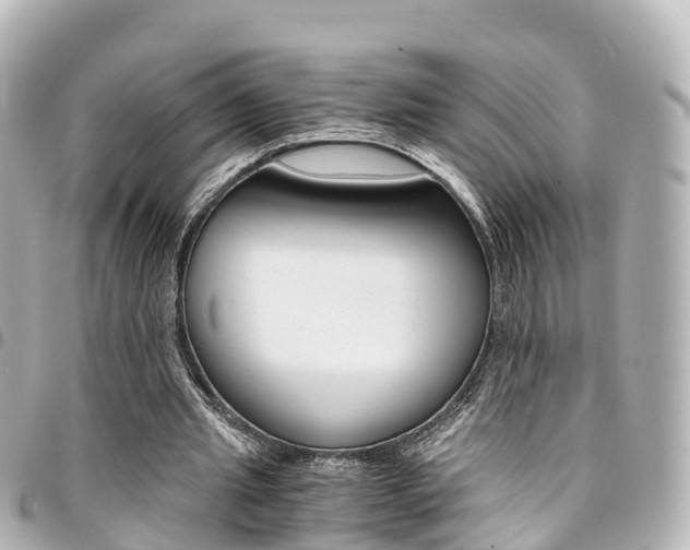 X0000094450437200711081051