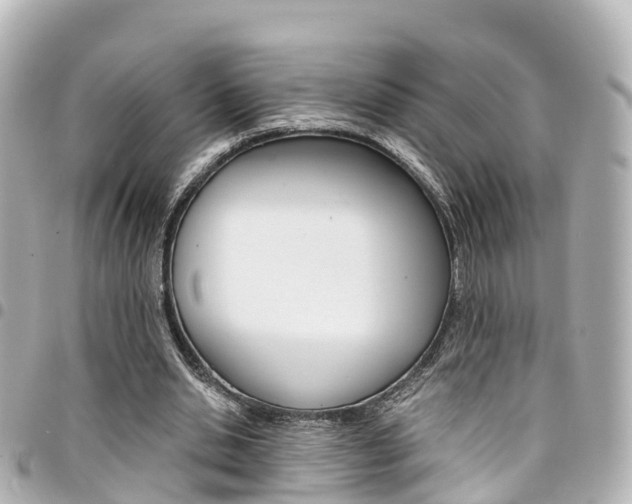 X0000094450438200711081051