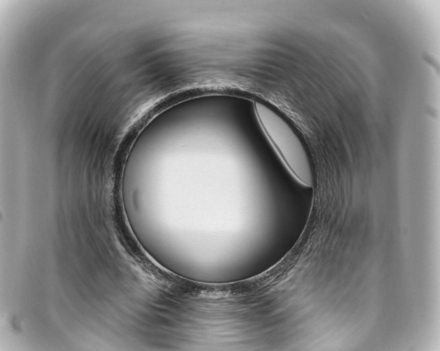 X0000094450440200711081051