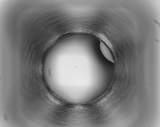 X0000094450441200711081051