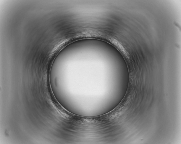 X0000094450442200711081051