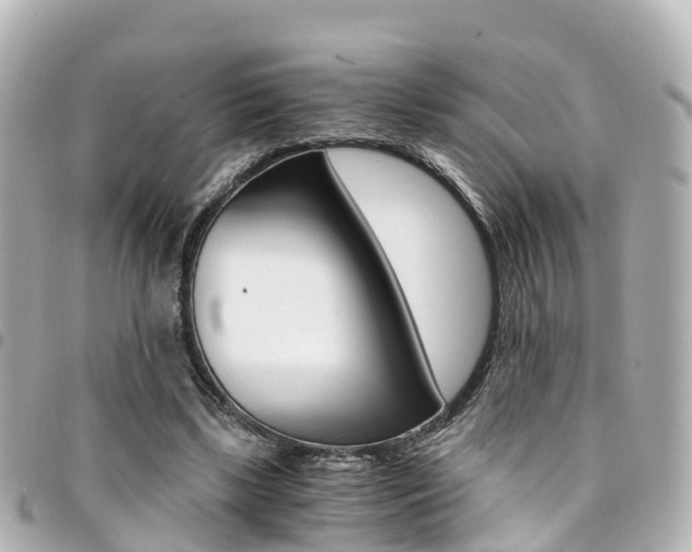 X0000094450443200711081051
