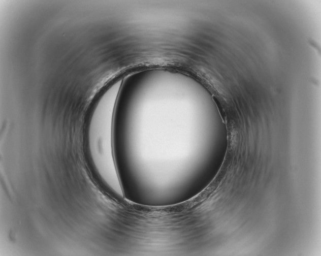 X0000094450444200711081051