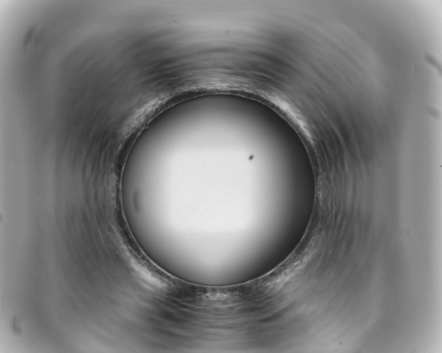 X0000094450445200711081051