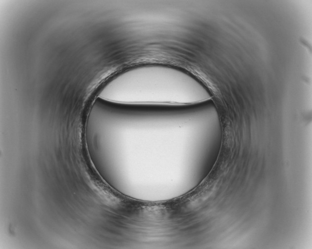 X0000094450446200711081051