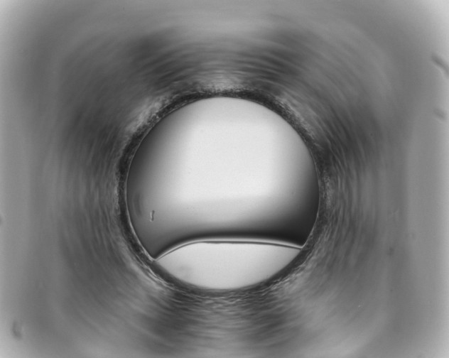 X0000094450447200711081051