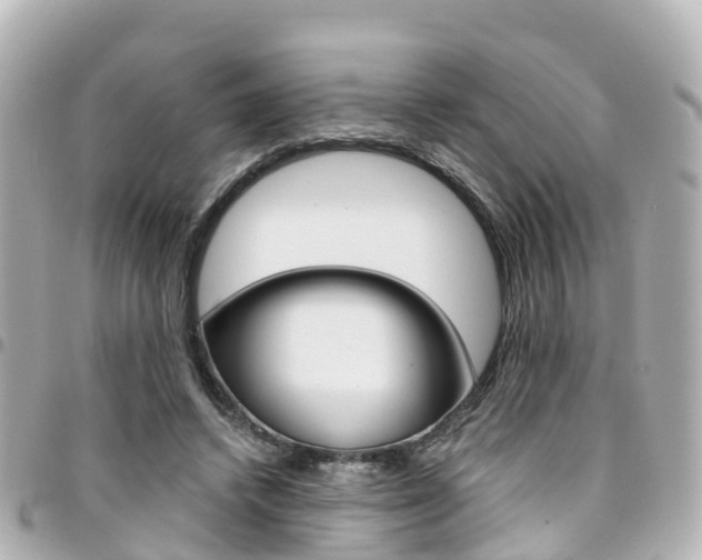 X0000094450448200711081051