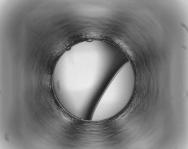 X0000094450449200711081051