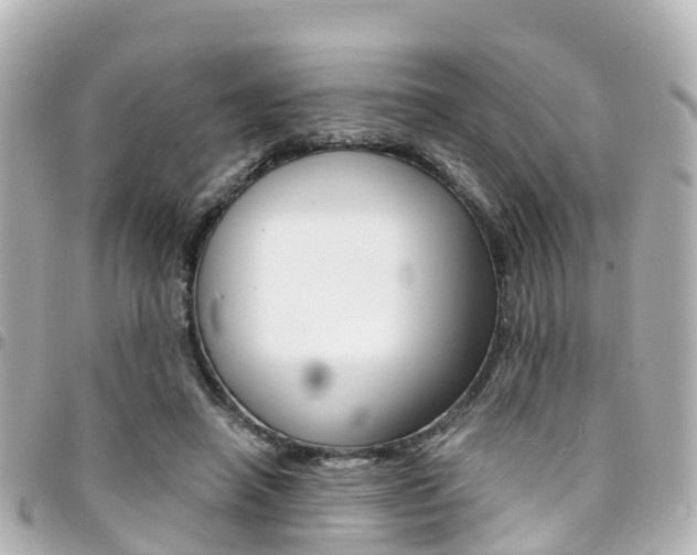 X0000094450450200711081051