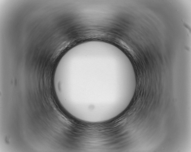 X0000094450452200711081051