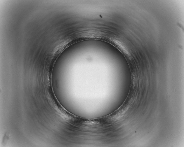 X0000094450453200711081051