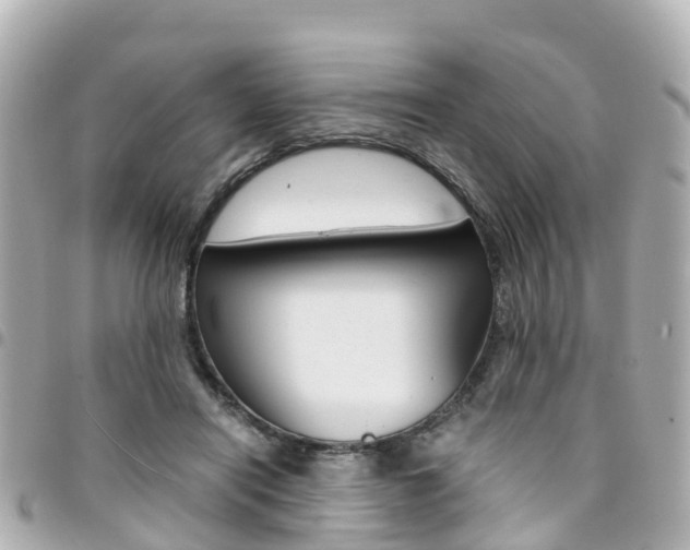 X0000094450454200711081051