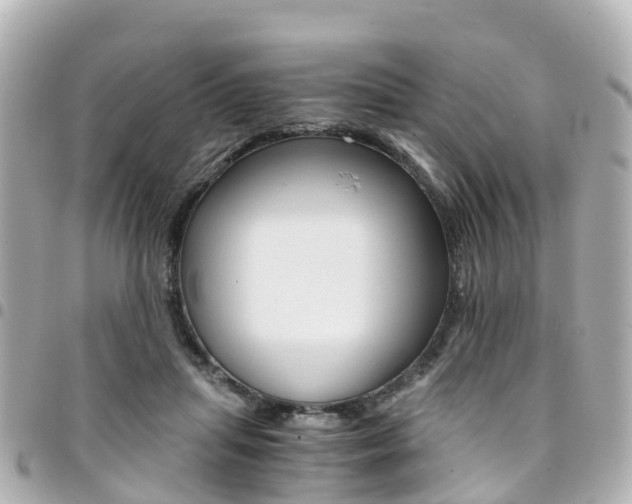 X0000094450455200711081051