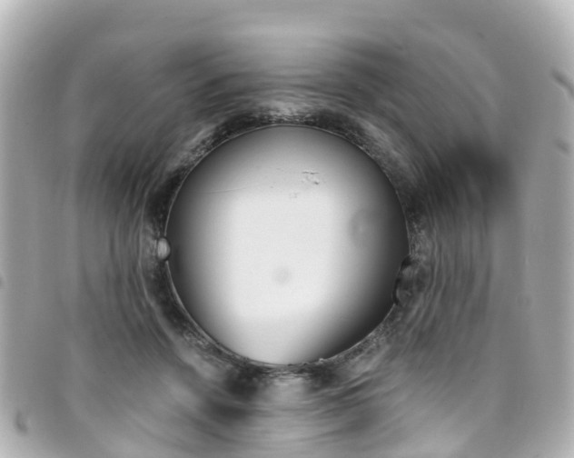 X0000094450456200711081051