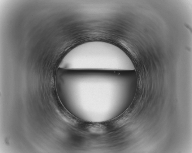 X0000094450459200711081051
