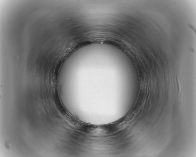 X0000094450460200711081051