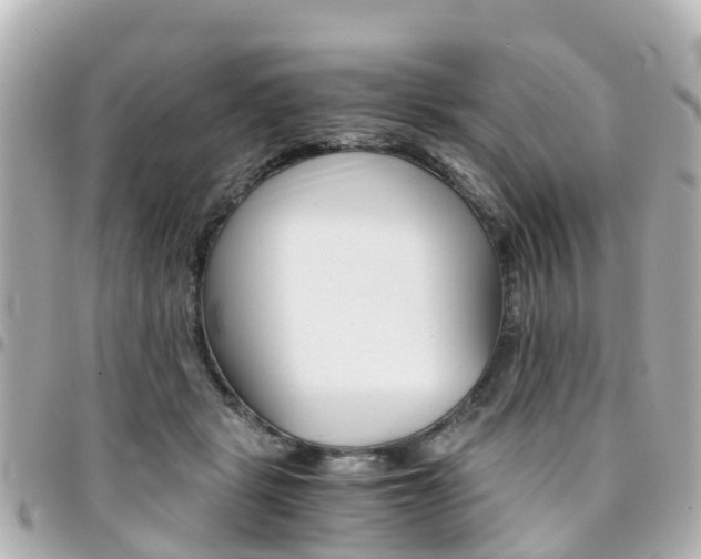 X0000094450461200711081051