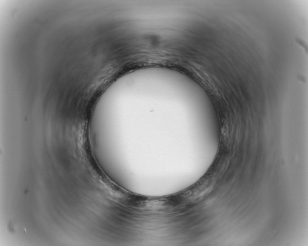 X0000094450462200711081051