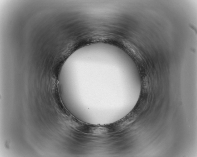 X0000094450463200711081051