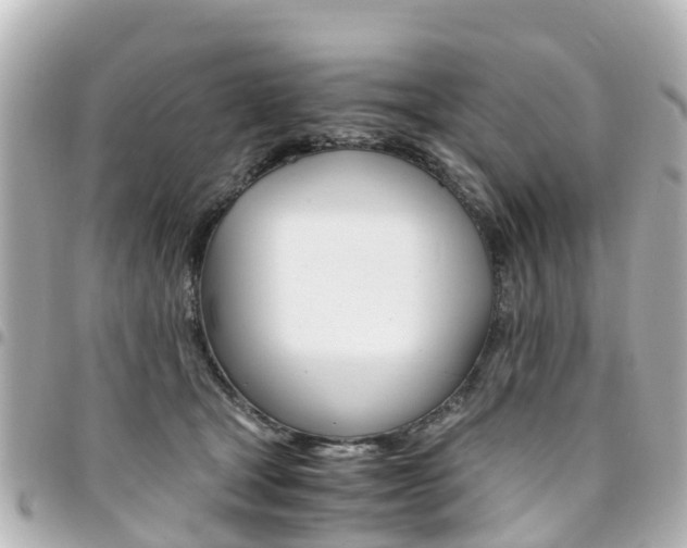 X0000094450465200711081051