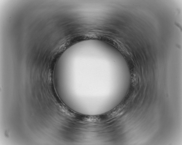 X0000094450466200711081051