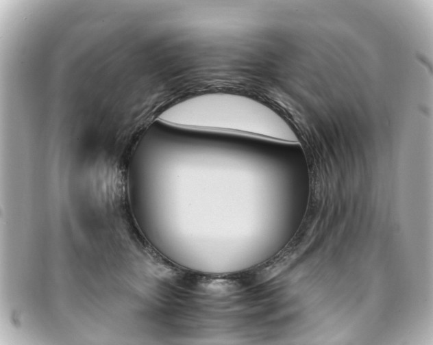 X0000094450467200711081051